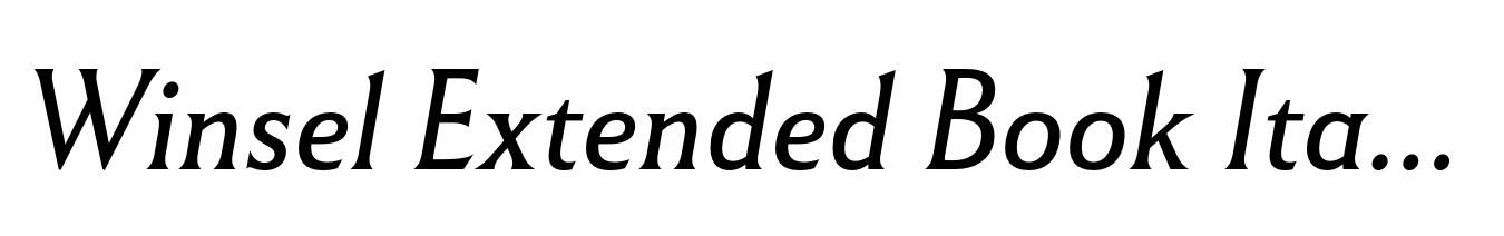 Winsel Extended Book Italic